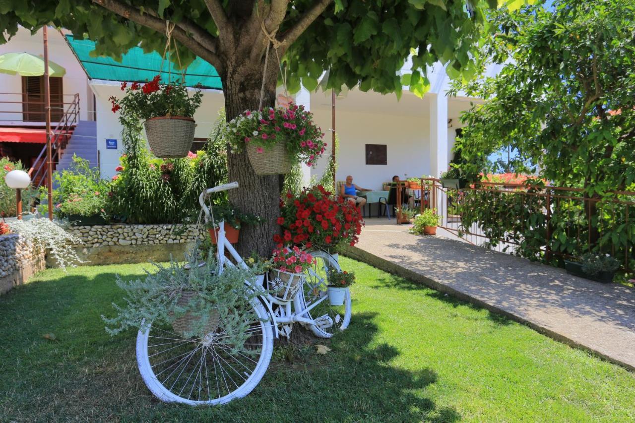 Apartment Zivogosce - Blato 1057D Εξωτερικό φωτογραφία